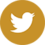 twitter round gold 64